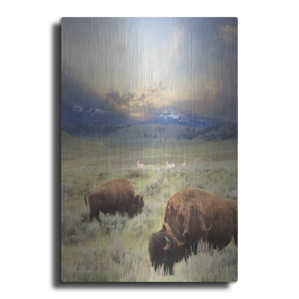 'Great American West' by Lori Deiter – Metal Wall Art
