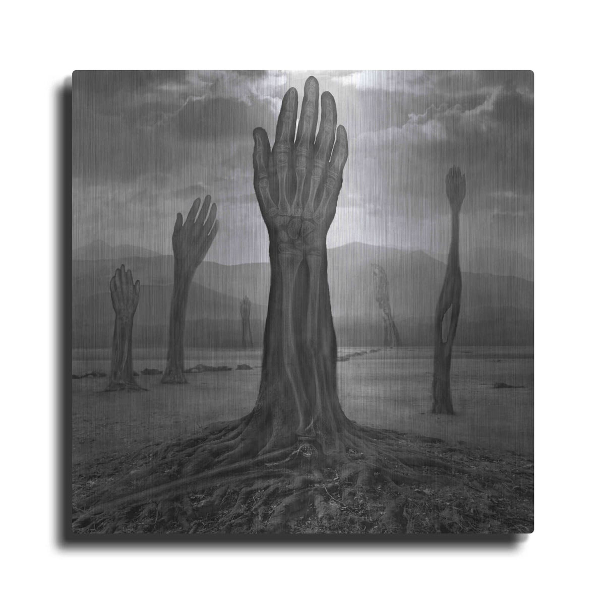 'Rentgen' by Dariusz Klimczak – Metal Wall Art