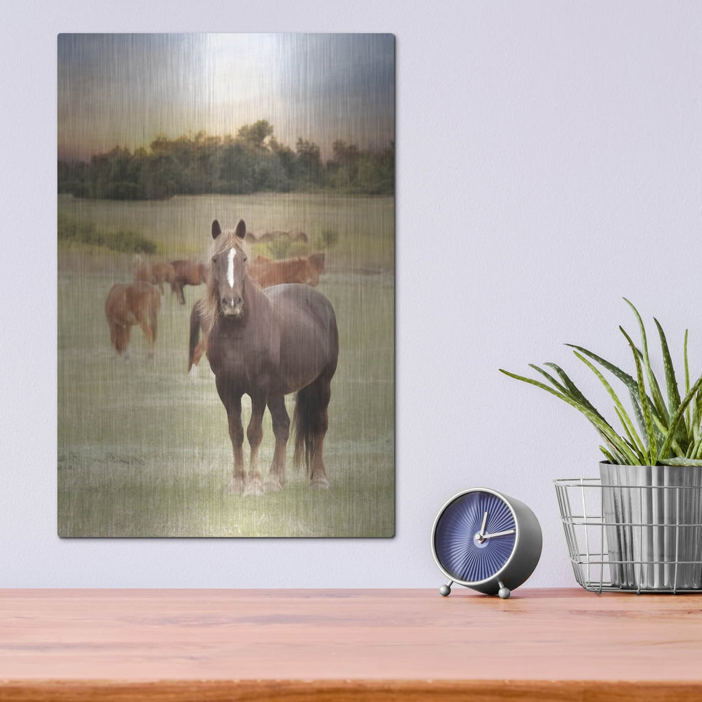 'Jackson Horse Farm' by Lori Deiter – Metal Wall Art, 12x16 room view