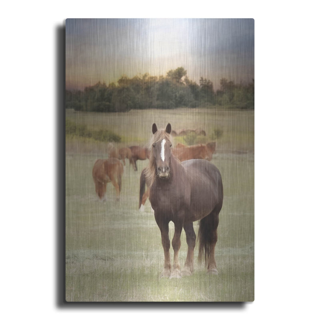 'Jackson Horse Farm' by Lori Deiter – Metal Wall Art