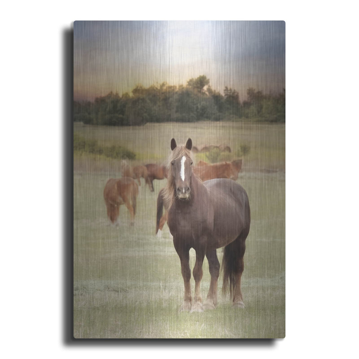 'Jackson Horse Farm' by Lori Deiter – Metal Wall Art
