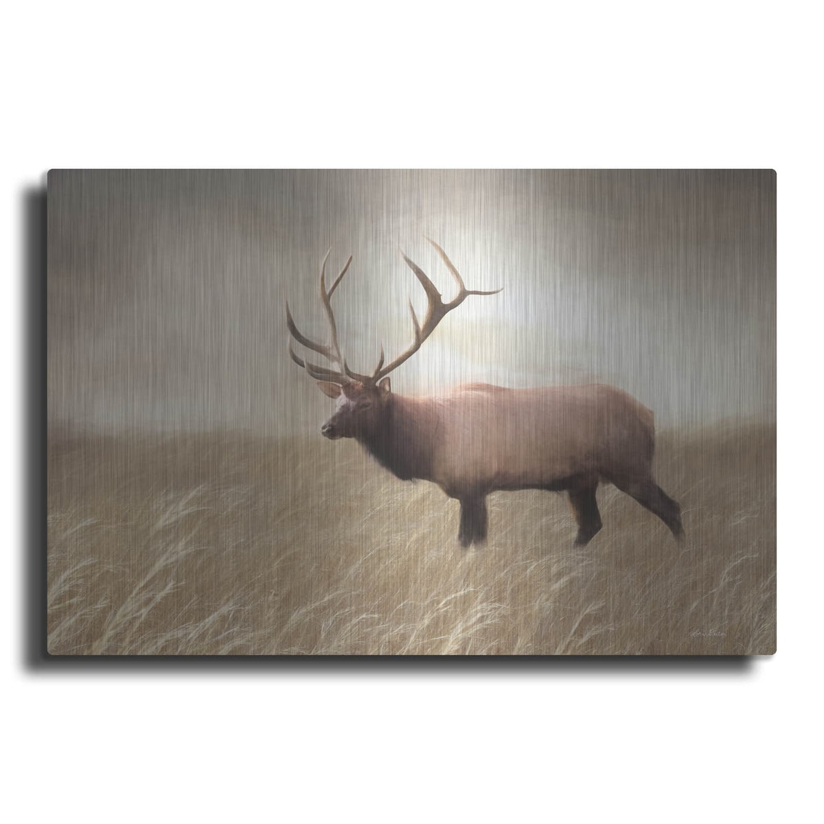 'Elk in the Field' by Lori Deiter – Metal Wall Art
