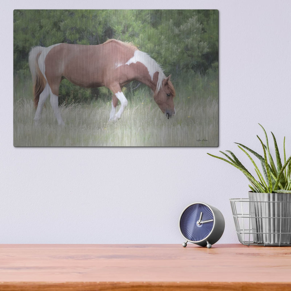 'Assateague Horse' by Lori Deiter – Metal Wall Art, 16x12 room view