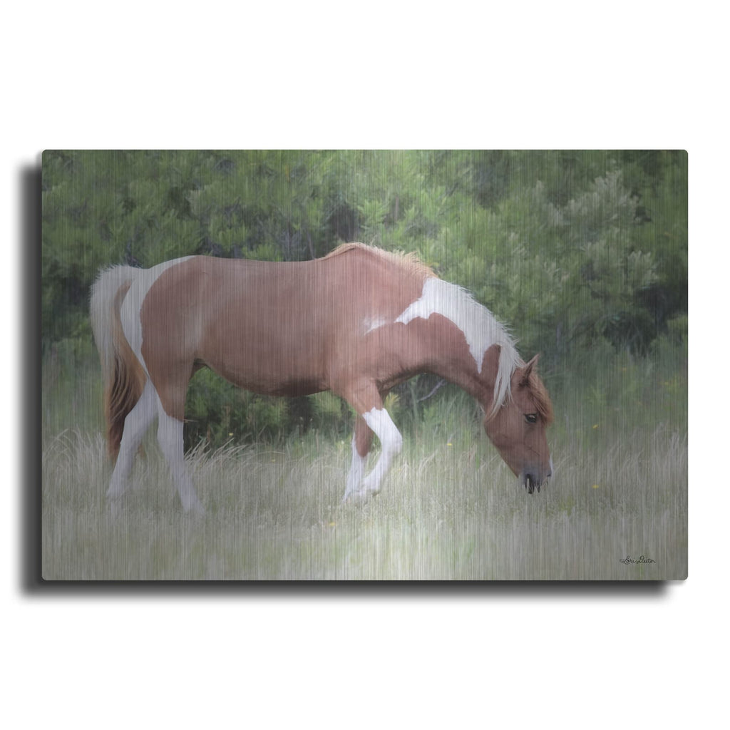 'Assateague Horse' by Lori Deiter – Metal Wall Art