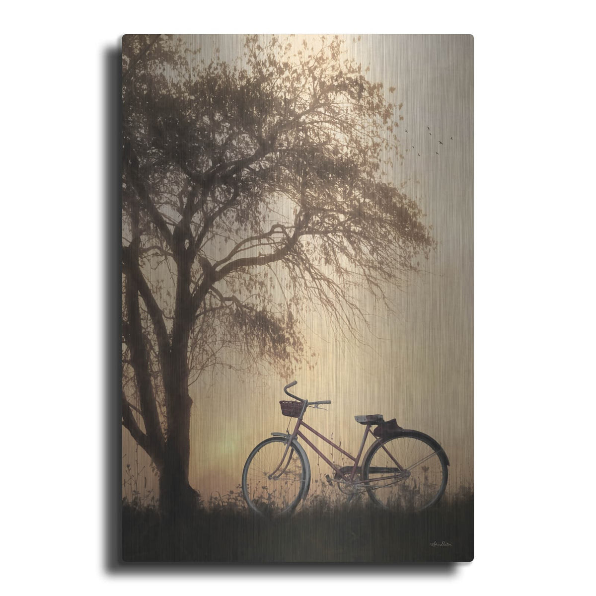 'Foggy Morning Sunrise' by Lori Deiter – Metal Wall Art