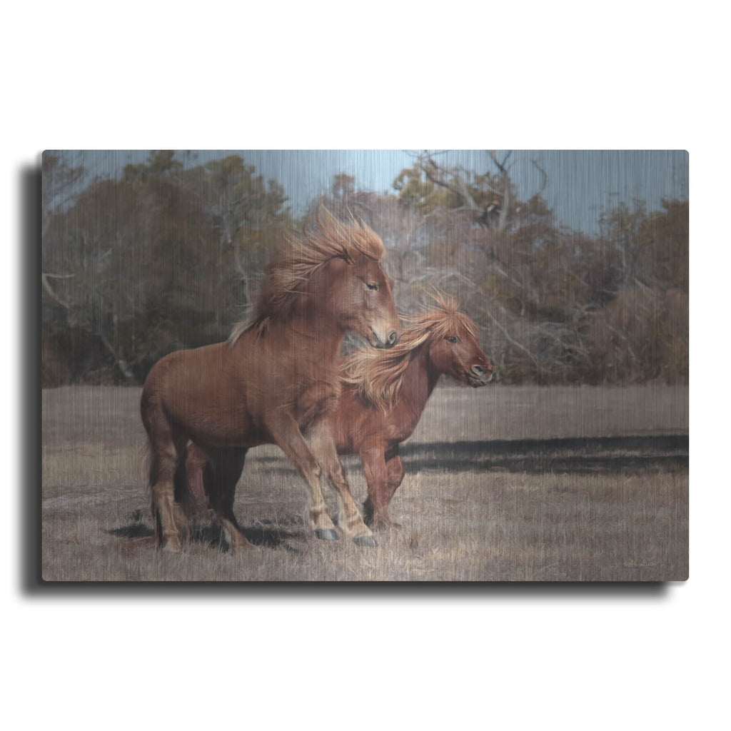 'Assateague Horses I' by Lori Deiter – Metal Wall Art