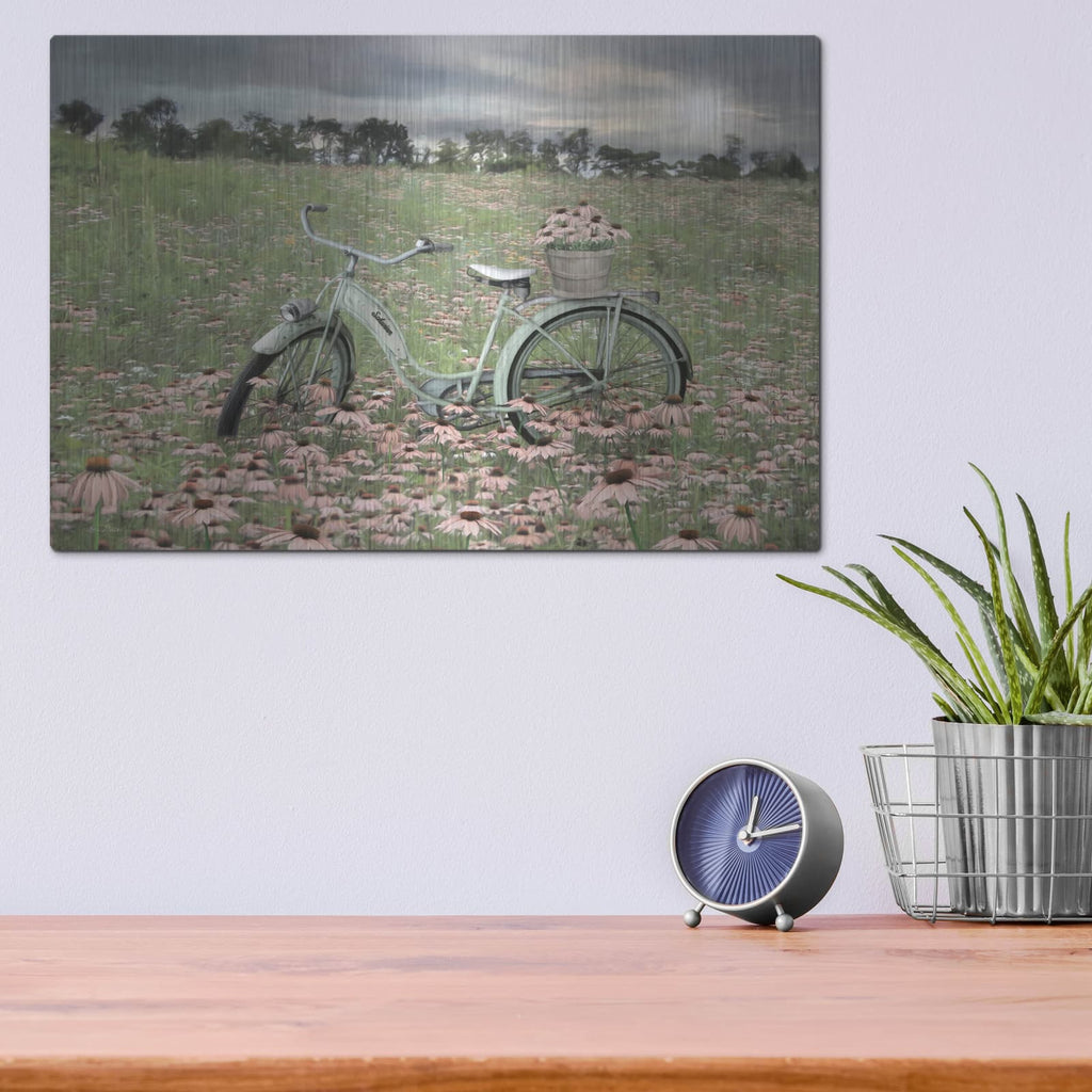 'Sagebrush Bicycle' by Lori Deiter – Metal Wall Art, 16x12 room view