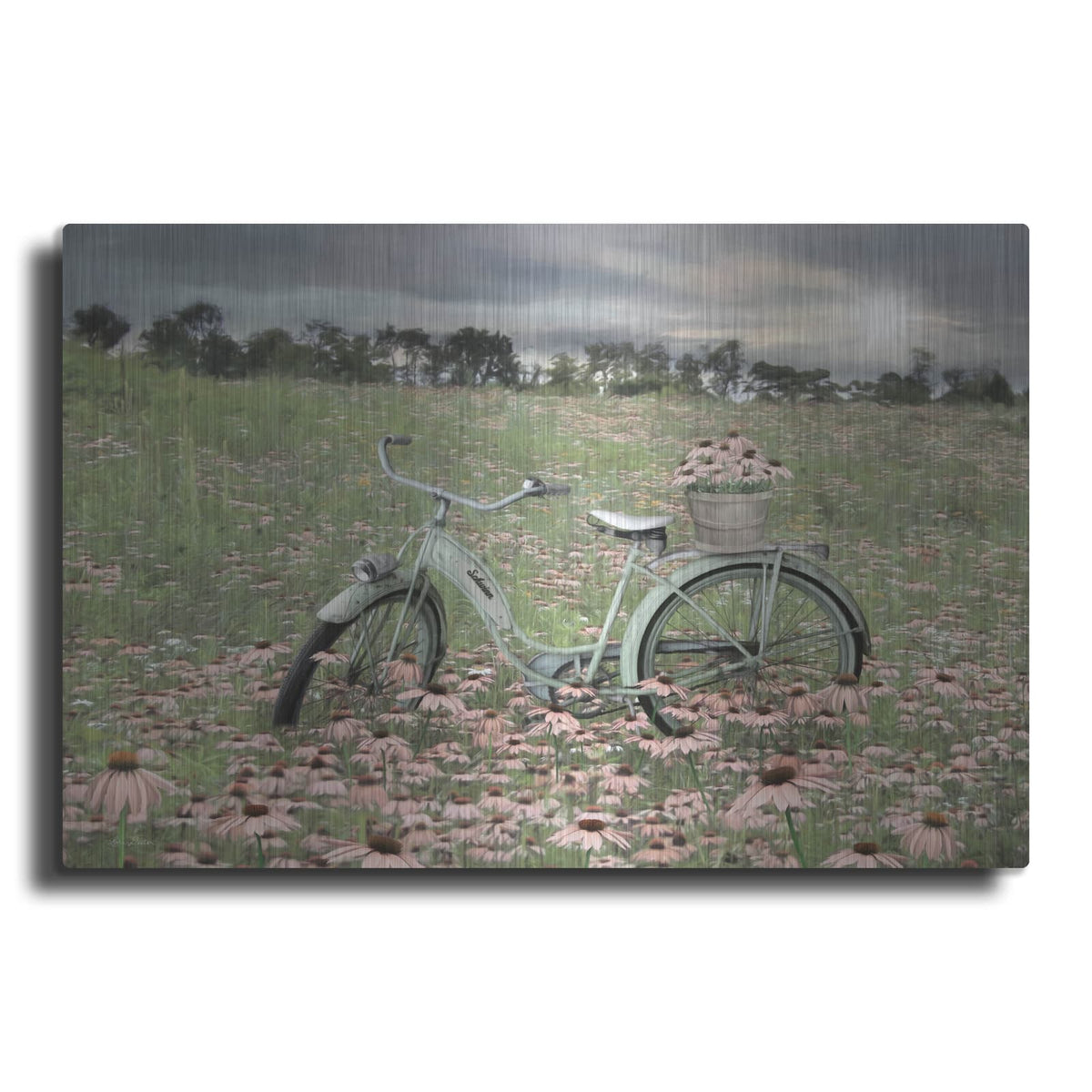 'Sagebrush Bicycle' by Lori Deiter – Metal Wall Art