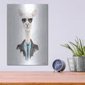 'Alpaca in Aviators' by Rachel Nieman – Metal Wall Art, 12x16 room view