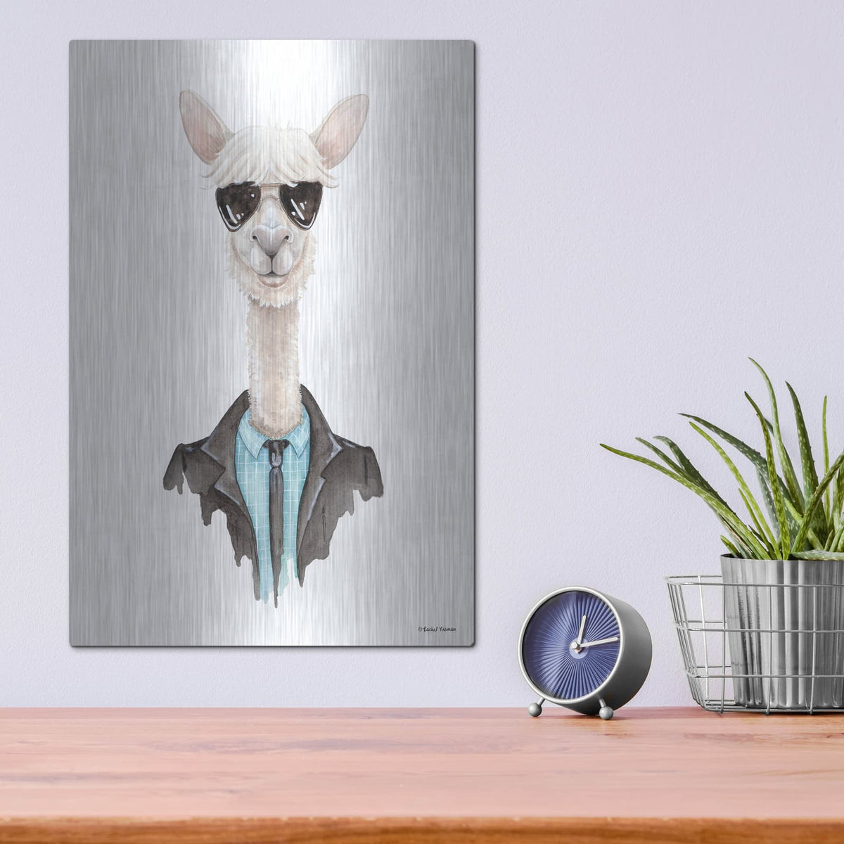 'Alpaca in Aviators' by Rachel Nieman – Metal Wall Art, 12x16 room view