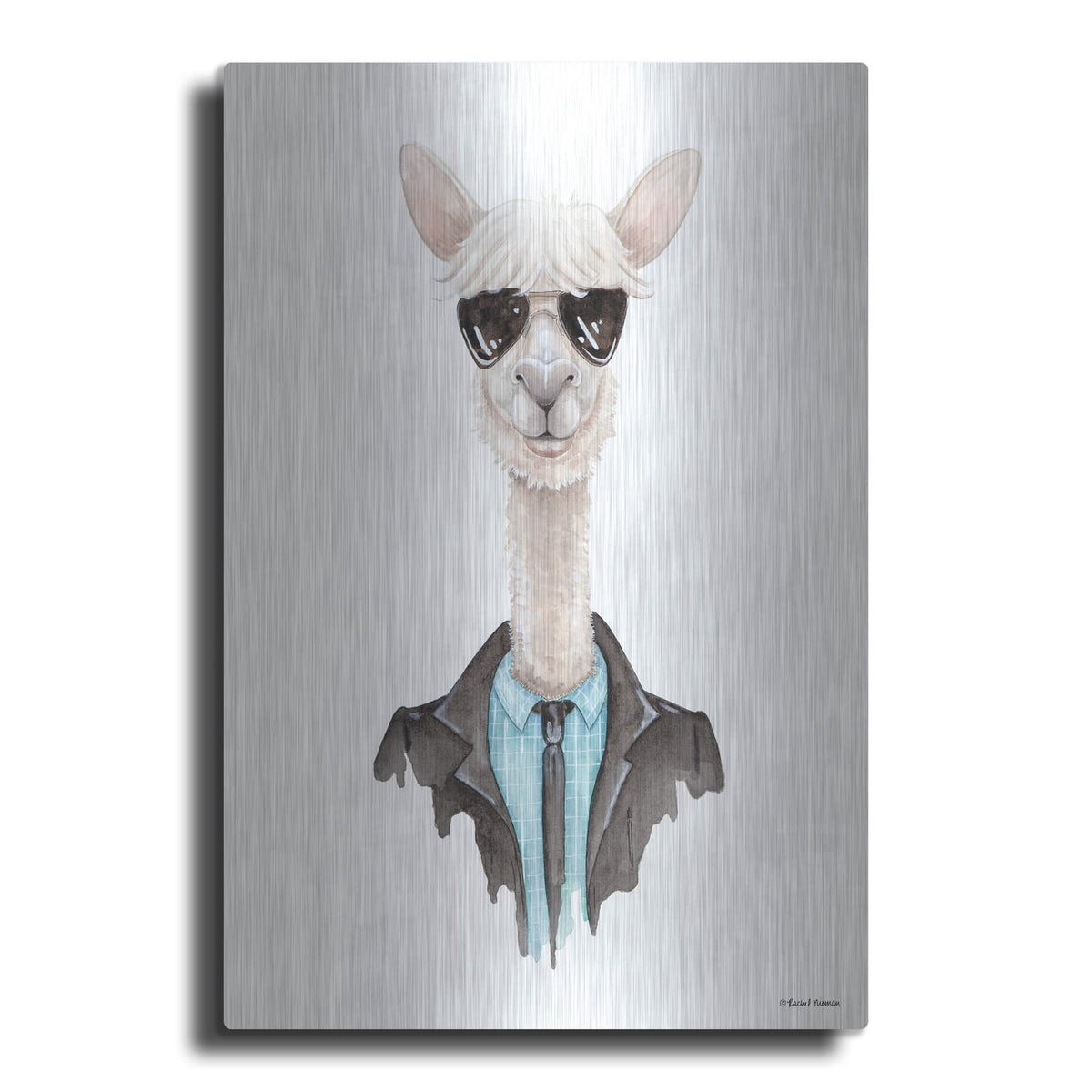 'Alpaca in Aviators' by Rachel Nieman – Metal Wall Art
