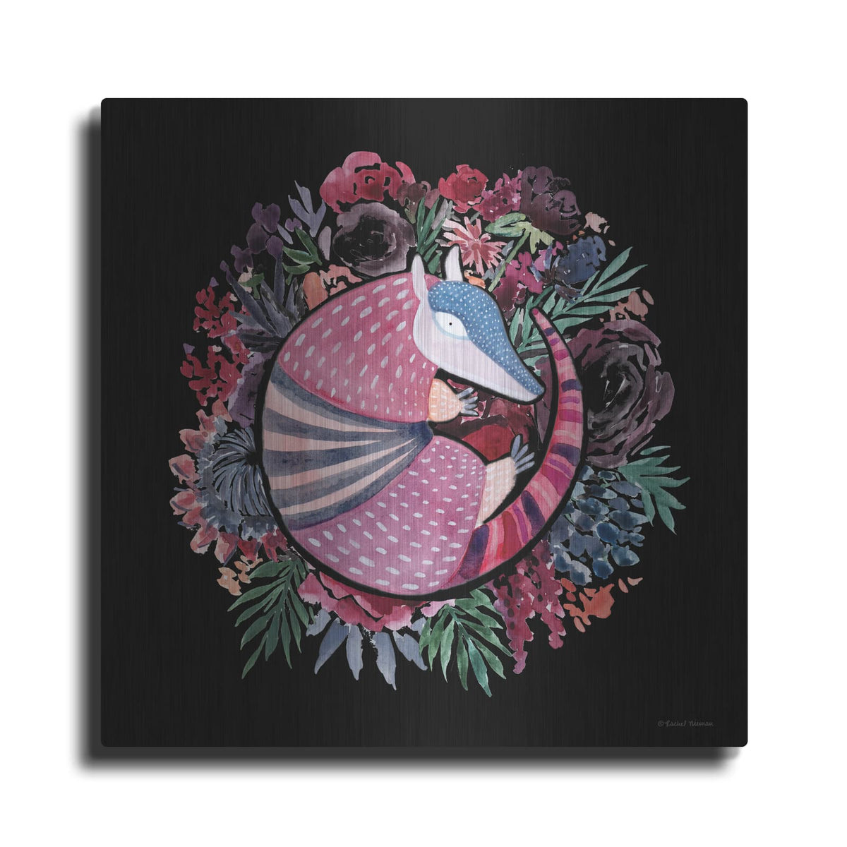 'Armadillo Palace' by Rachel Nieman – Metal Wall Art