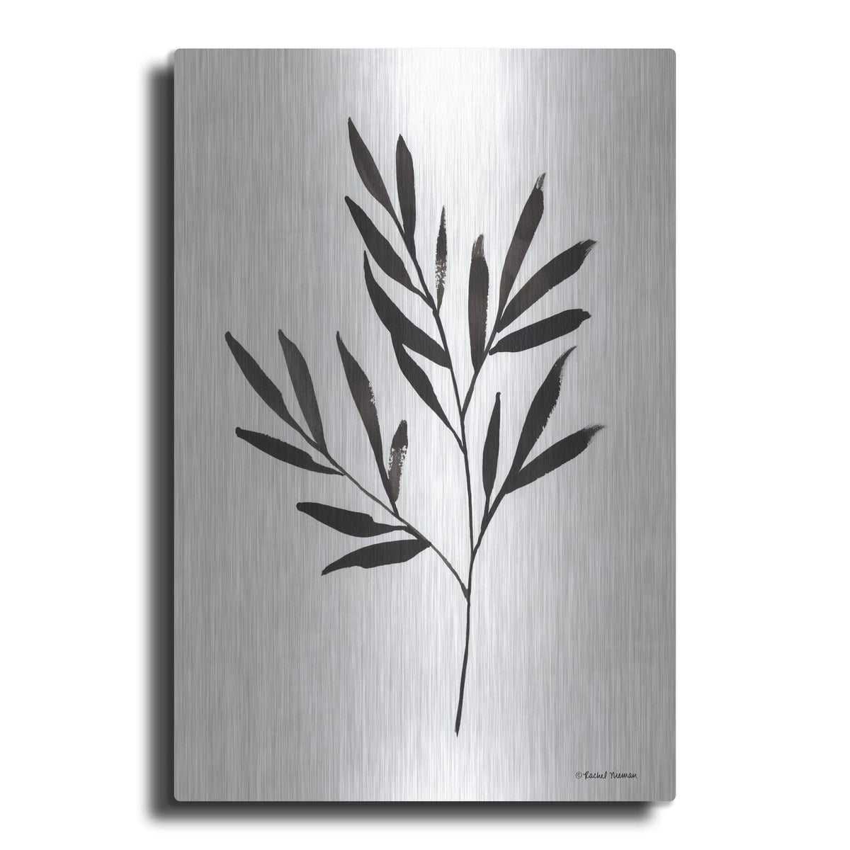 'Reductive Leaf Stem Black' by Rachel Nieman – Metal Wall Art