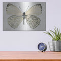 'Butterfly 2' by Stellar Design Studio – Metal Wall Art, 16x12 room view
