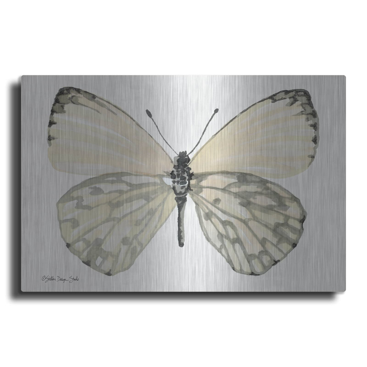 'Butterfly 2' by Stellar Design Studio – Metal Wall Art