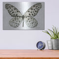 'Butterfly 3' by Stellar Design Studio – Metal Wall Art, 16x12 room view