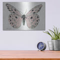 'Butterfly 6' by Stellar Design Studio – Metal Wall Art, 16x12 room view