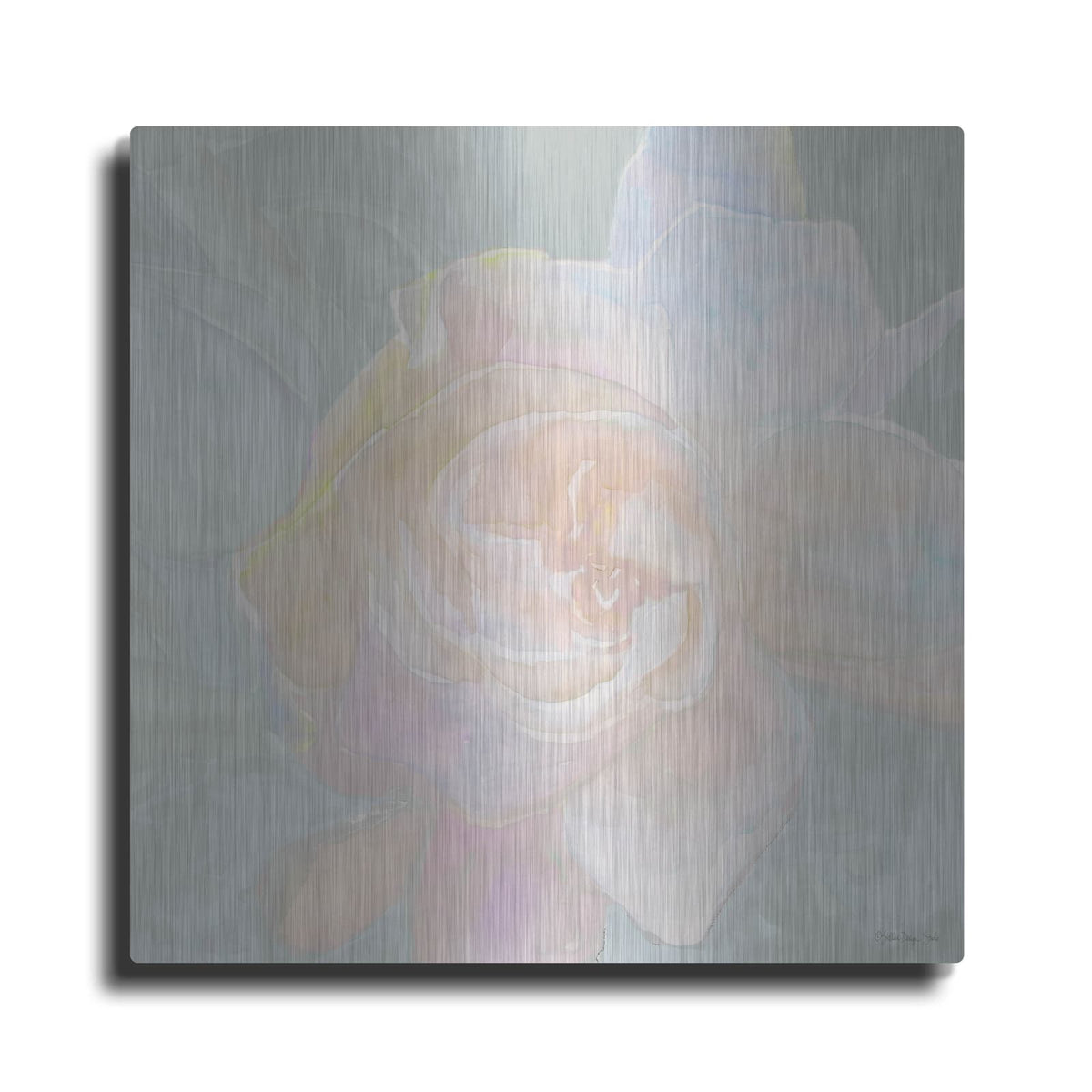 'Rose Bouquet 2' by Stellar Design Studio – Metal Wall Art