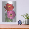 'Cactus Flower 1' by Stellar Design Studio – Metal Wall Art, 12x16 room view