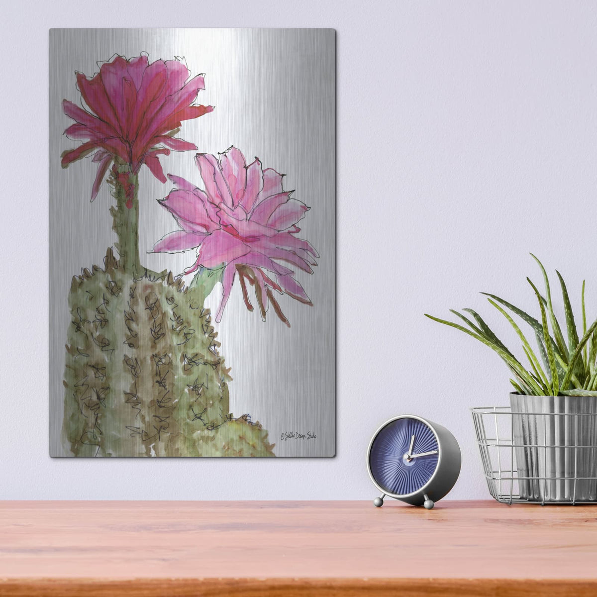 'Cactus Flower 2' by Stellar Design Studio – Metal Wall Art, 12x16 room view