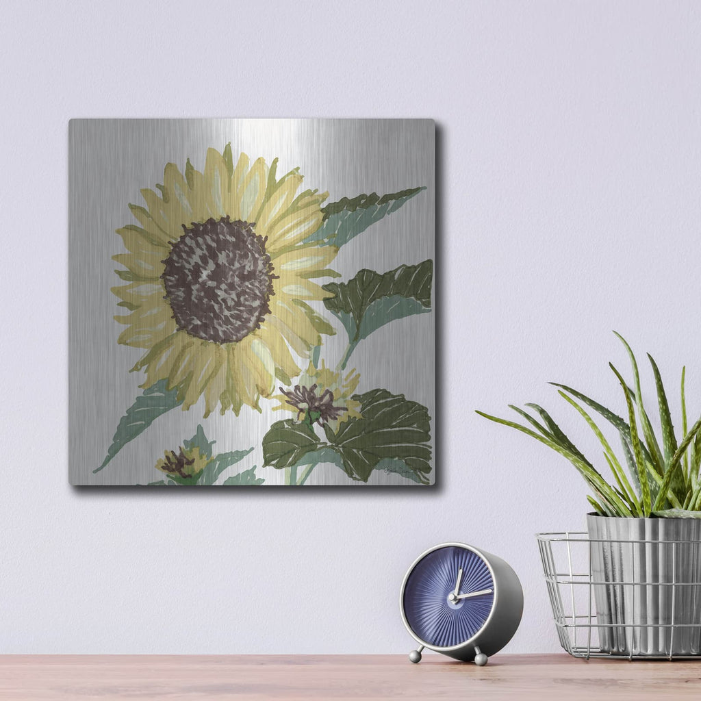 'Floral Study 3' by Stellar Design Studio – Metal Wall Art, 12x12 room view