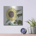 'Floral Study 3' by Stellar Design Studio – Metal Wall Art, 12x12 room view