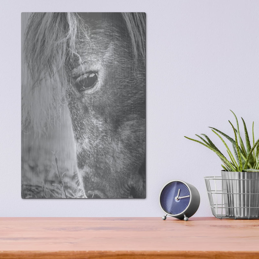 'Old Faithful' by Donnie Quillen – Metal Wall Art, 12x16 room view