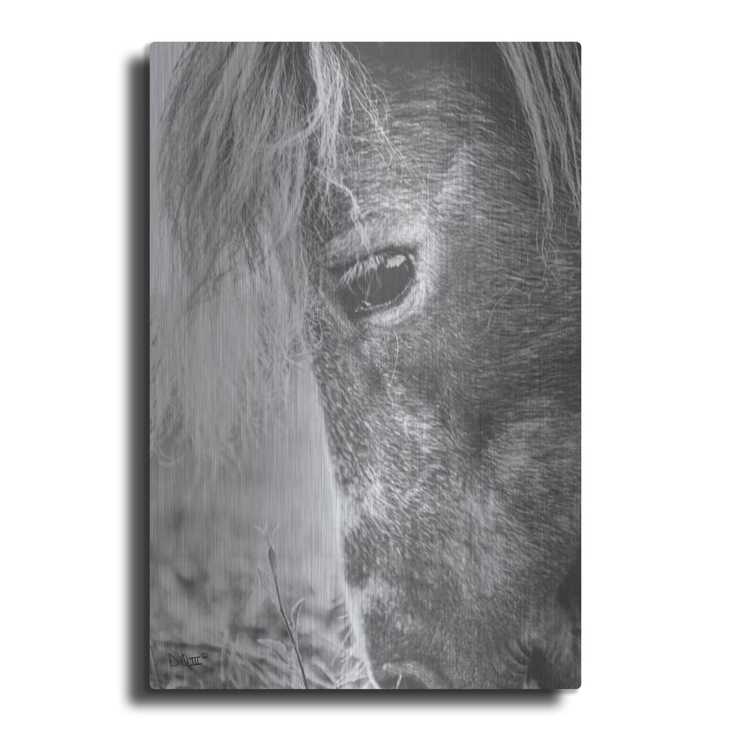 'Old Faithful' by Donnie Quillen – Metal Wall Art
