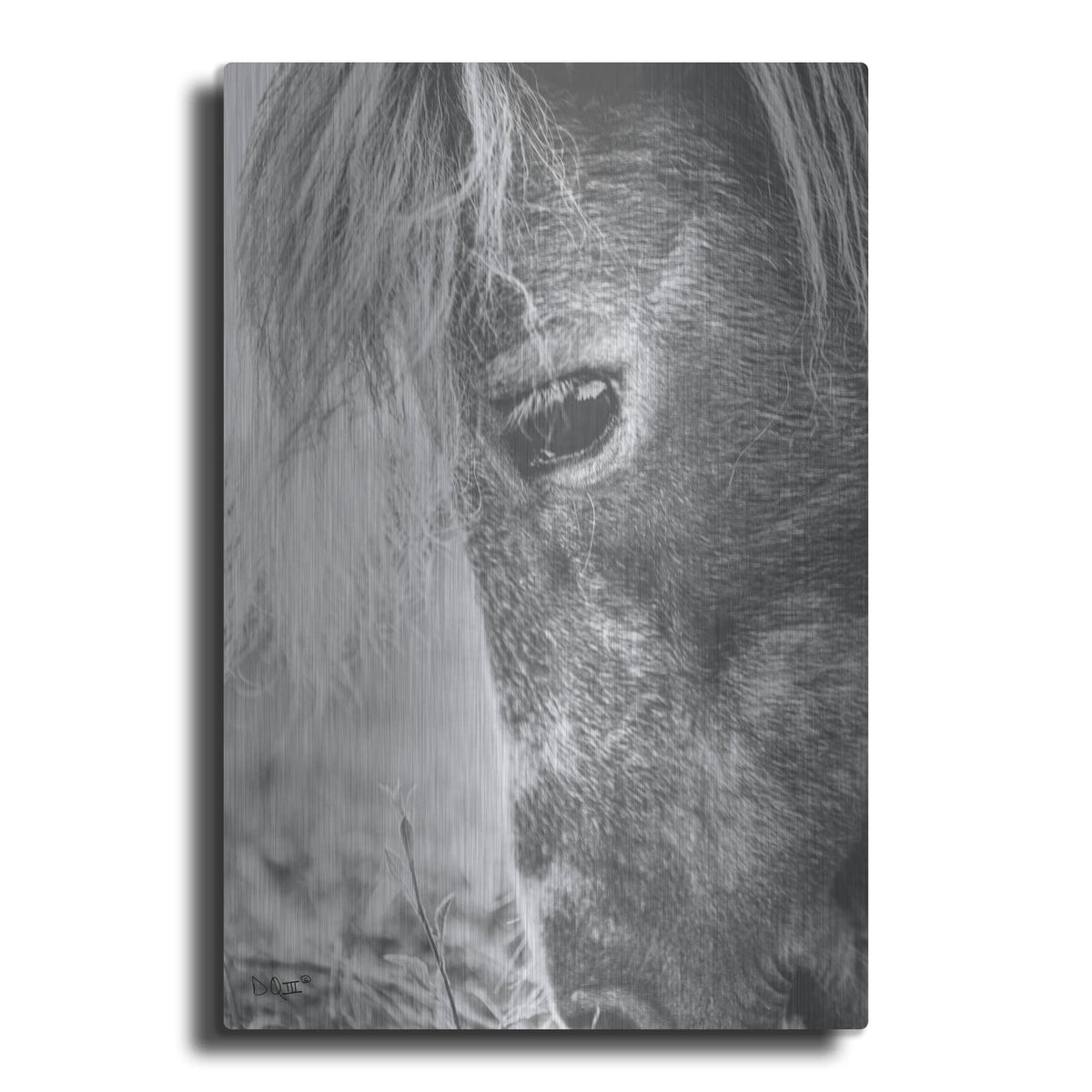 'Old Faithful' by Donnie Quillen – Metal Wall Art