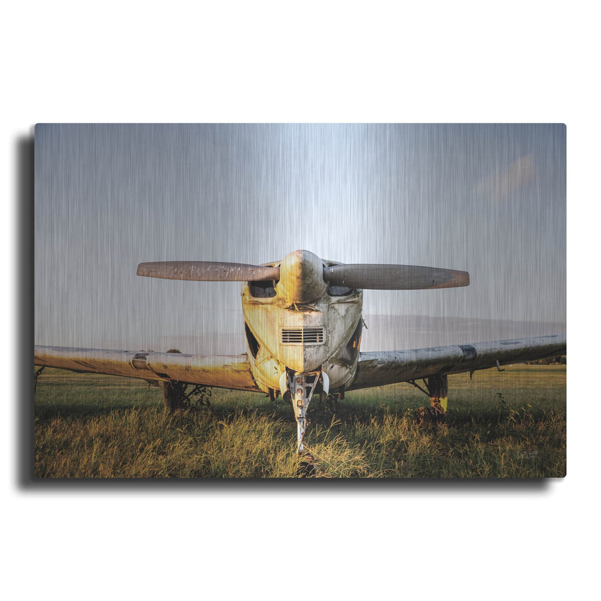 'Last Flight I Hold' by Donnie Quillen – Metal Wall Art
