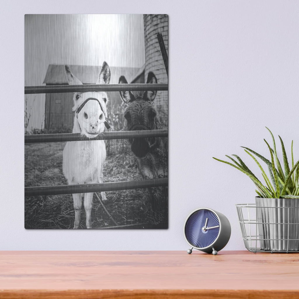 'Donkeys' by Donnie Quillen – Metal Wall Art, 12x16 room view