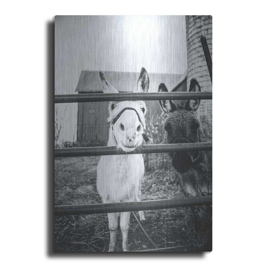 'Donkeys' by Donnie Quillen – Metal Wall Art