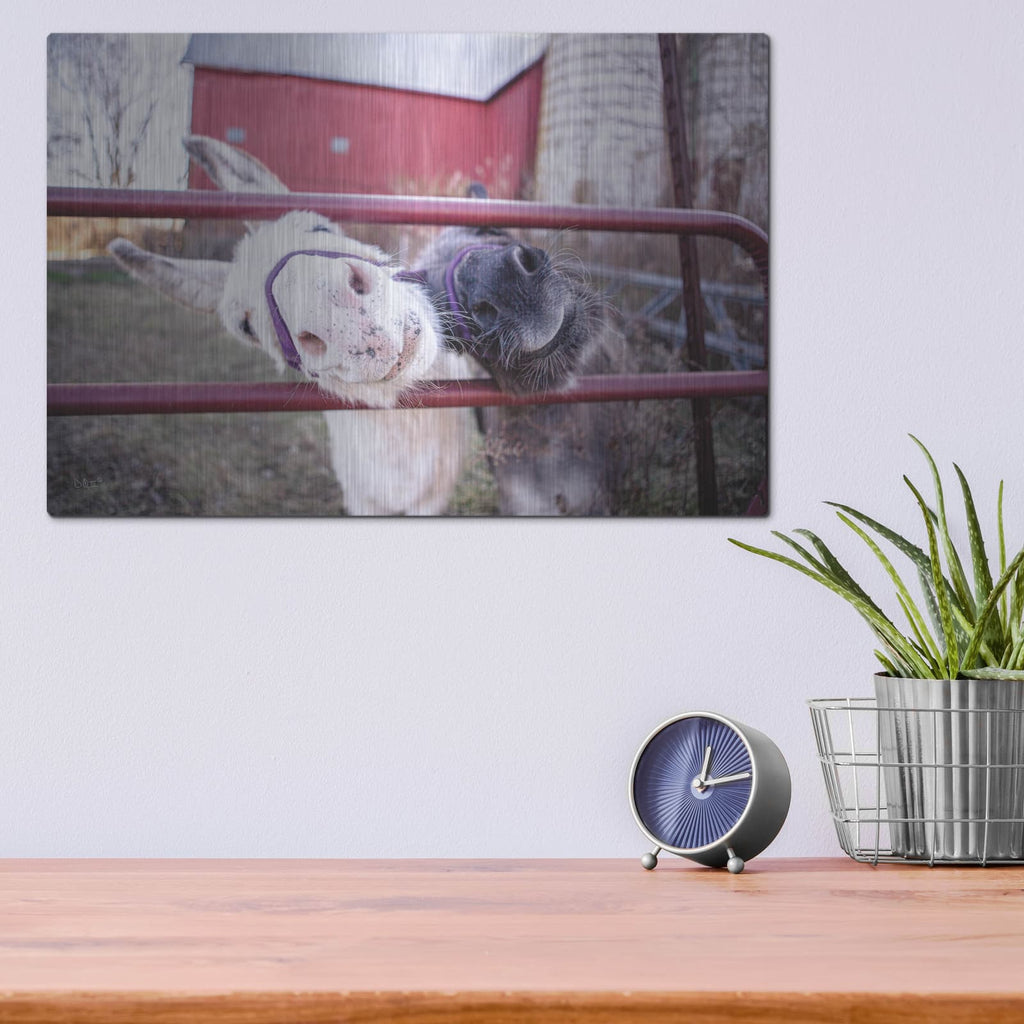 'Hey Donkeys II' by Donnie Quillen – Metal Wall Art, 16x12 room view