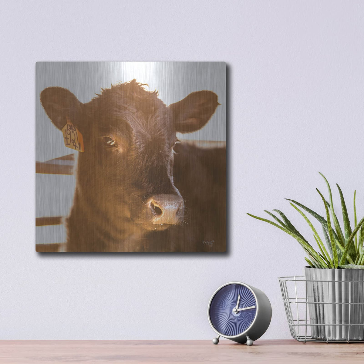 'Baby Cow I' by Donnie Quillen – Metal Wall Art, 12x12 room view