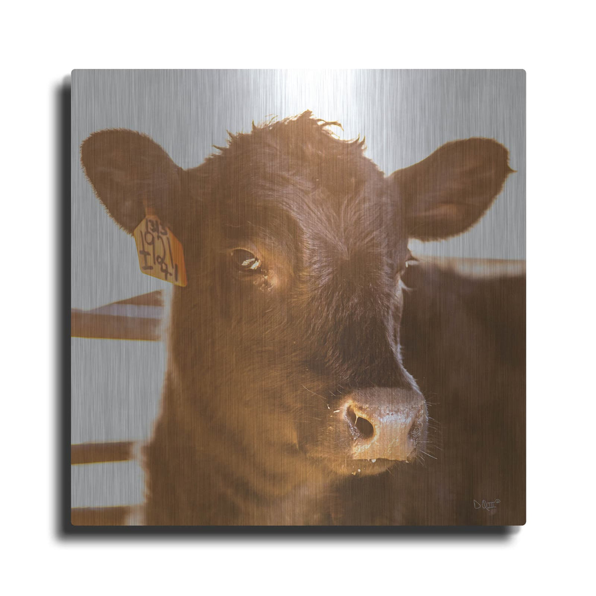 'Baby Cow I' by Donnie Quillen – Metal Wall Art