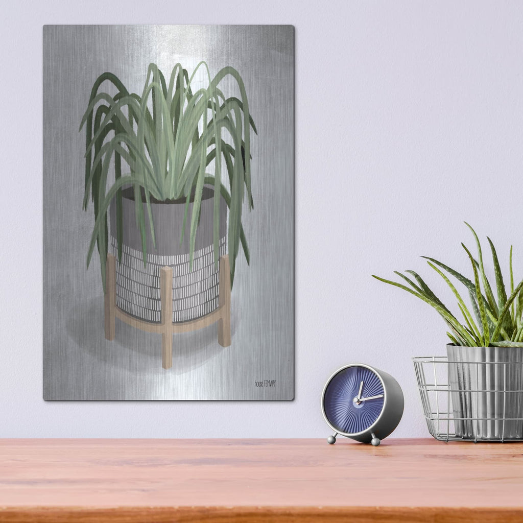 'Spider Plant' by House Fenway – Metal Wall Art, 12x16 room view
