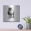 'Farmhouse Sheep' by House Fenway – Metal Wall Art, 12x12 room view