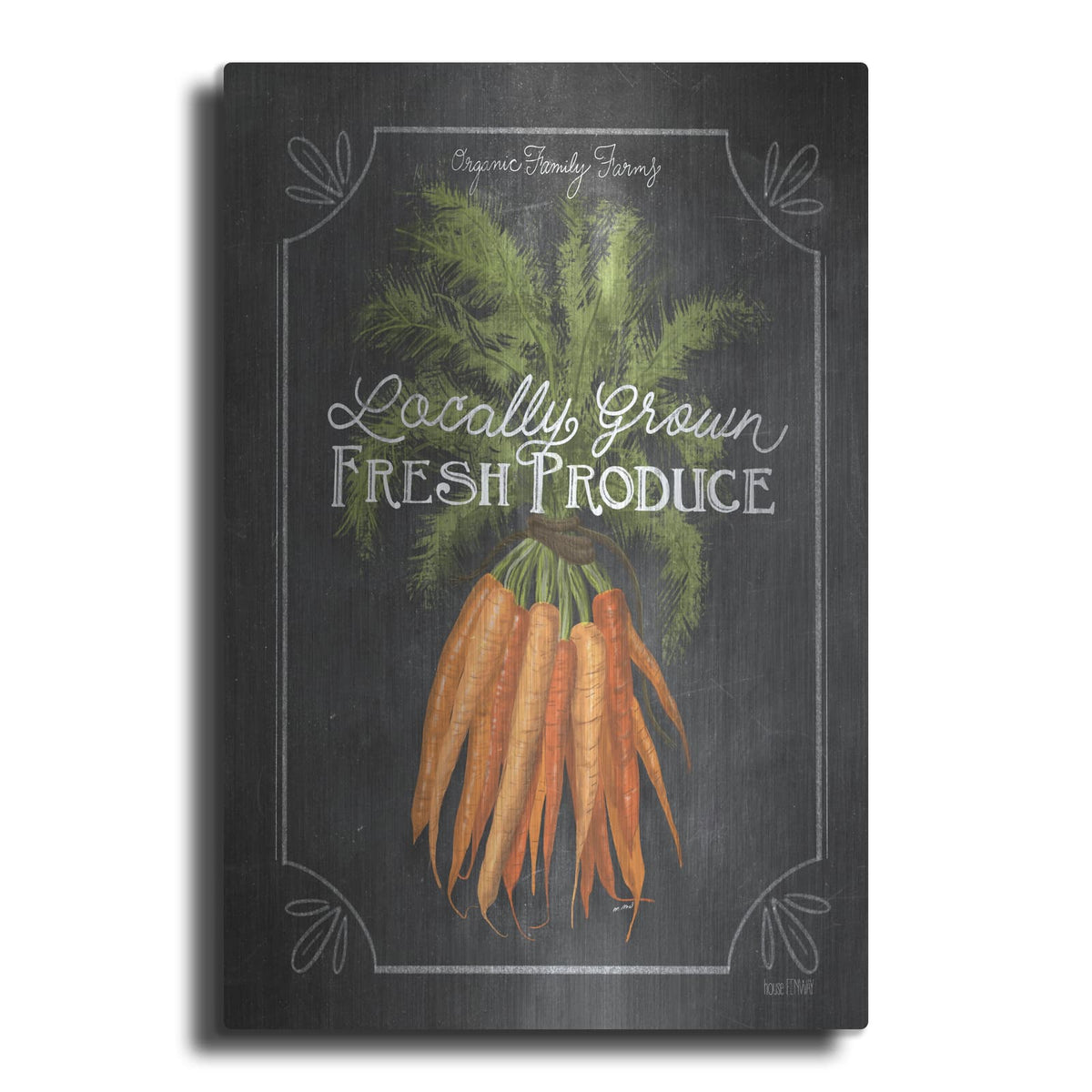 'Fresh Carrots' by House Fenway – Metal Wall Art