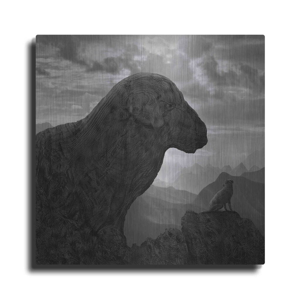 'Dog Rock' by Dariusz Klimczak – Metal Wall Art