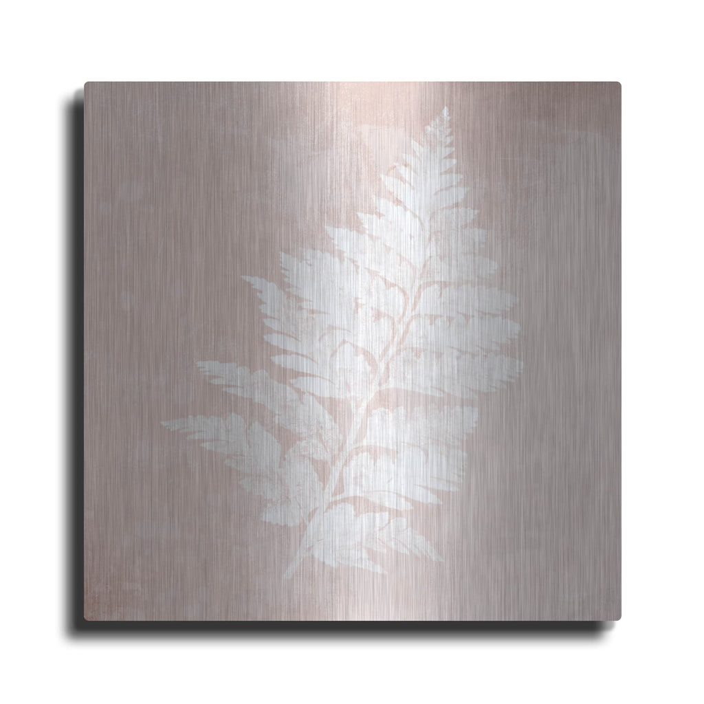 'Blush Fern II' by House Fenway – Metal Wall Art