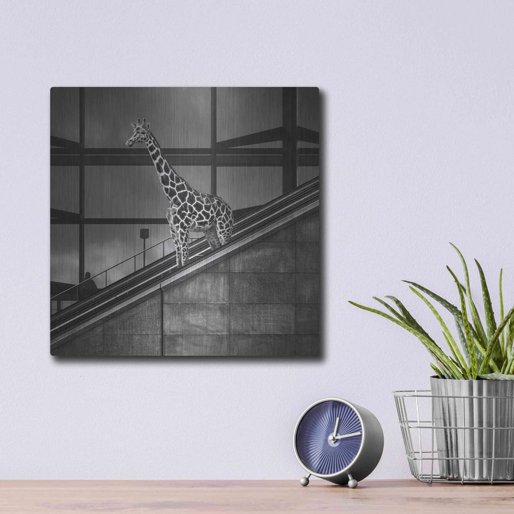 'Downstairs' by Dariusz Klimczak – Metal Wall Art, 12x12 room view