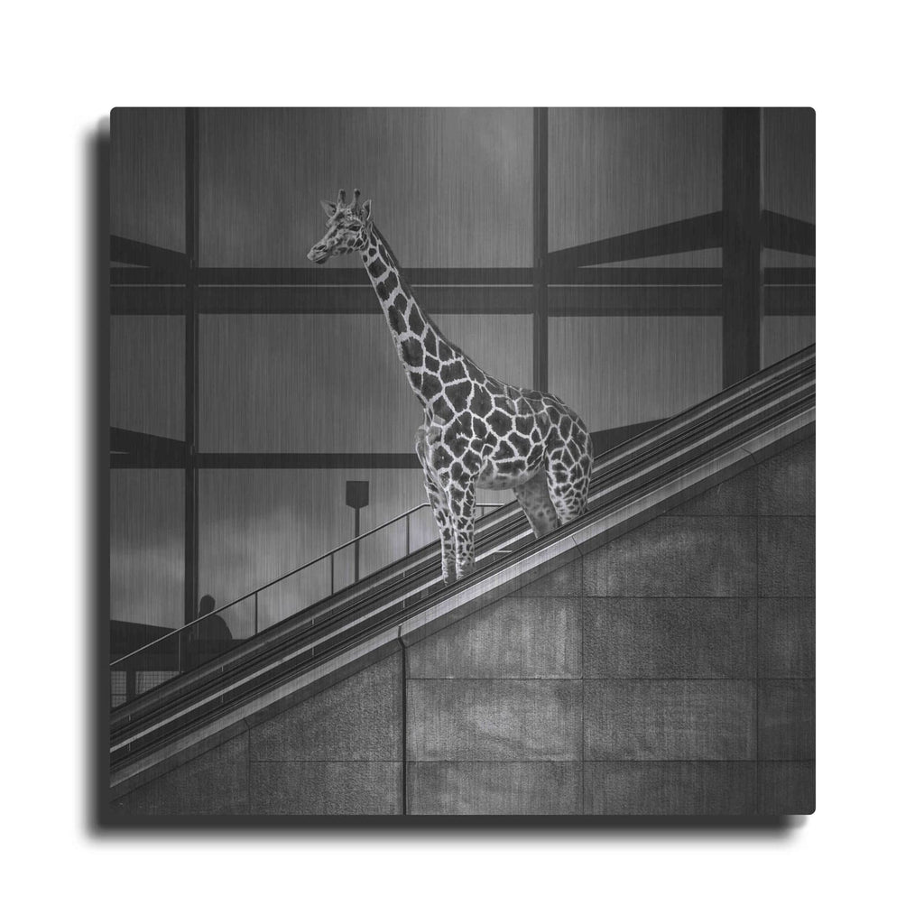 'Downstairs' by Dariusz Klimczak – Metal Wall Art