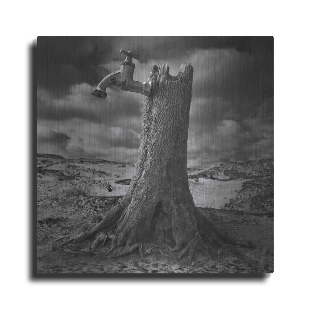 'Dry' by Dariusz Klimczak – Metal Wall Art