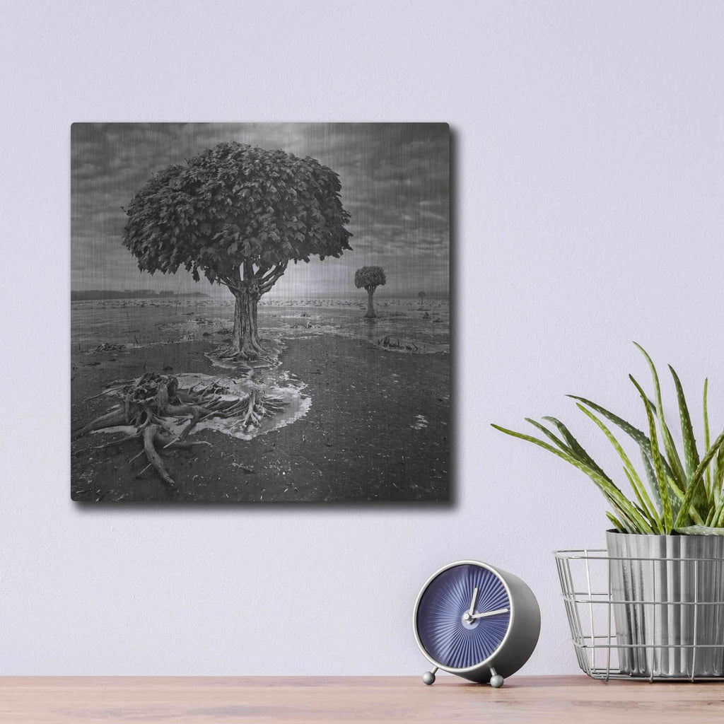 'Trees' by Dariusz Klimczak – Metal Wall Art, 12x12 room view