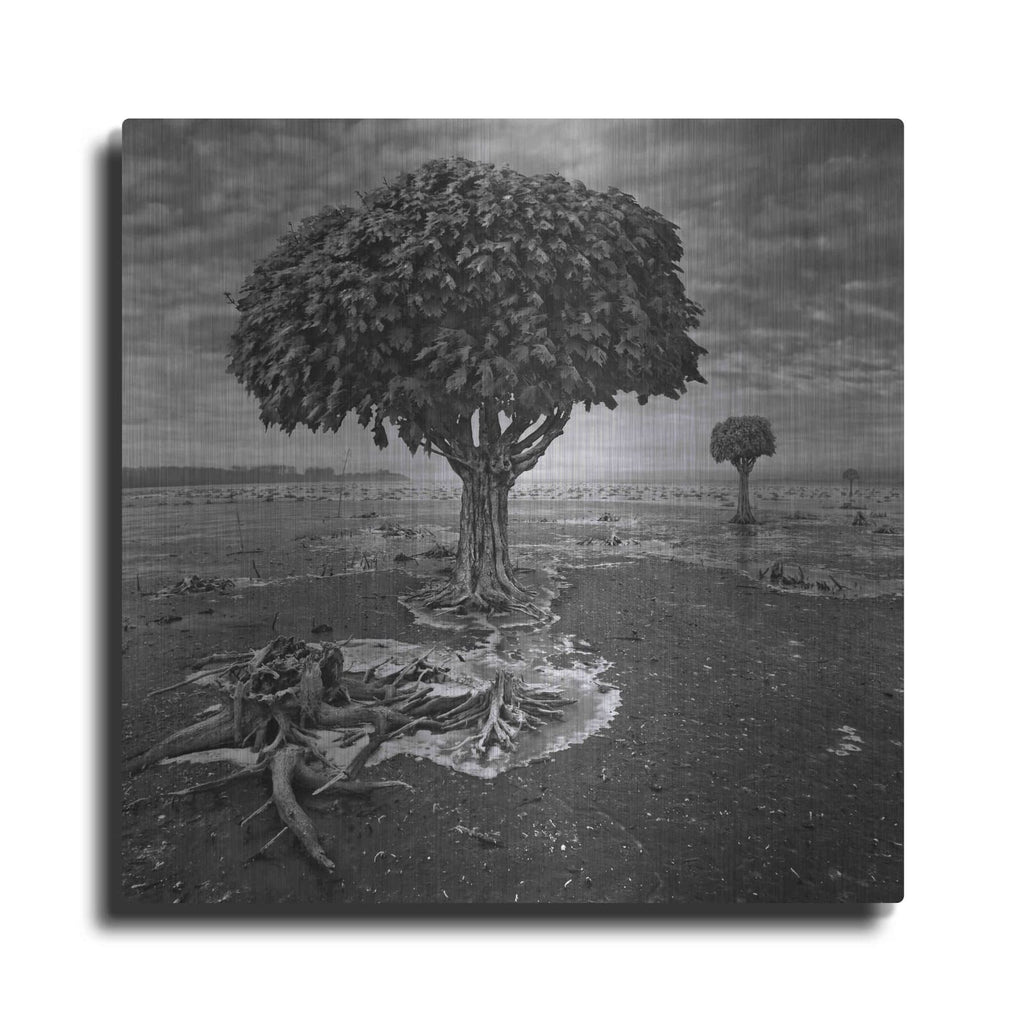'Trees' by Dariusz Klimczak – Metal Wall Art