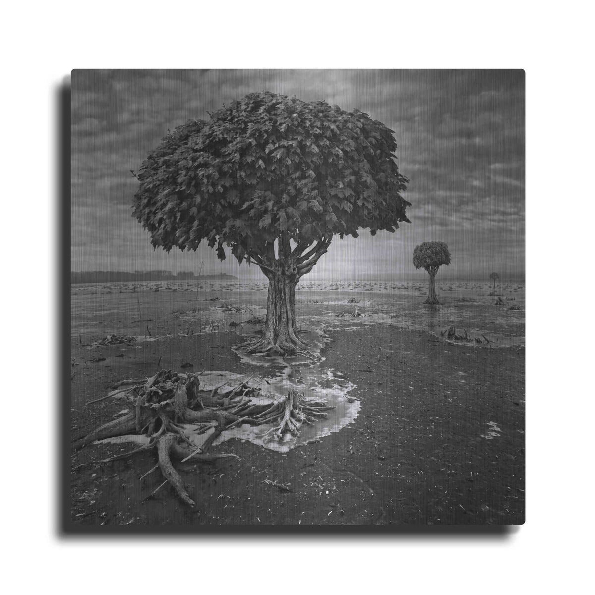 'Trees' by Dariusz Klimczak – Metal Wall Art