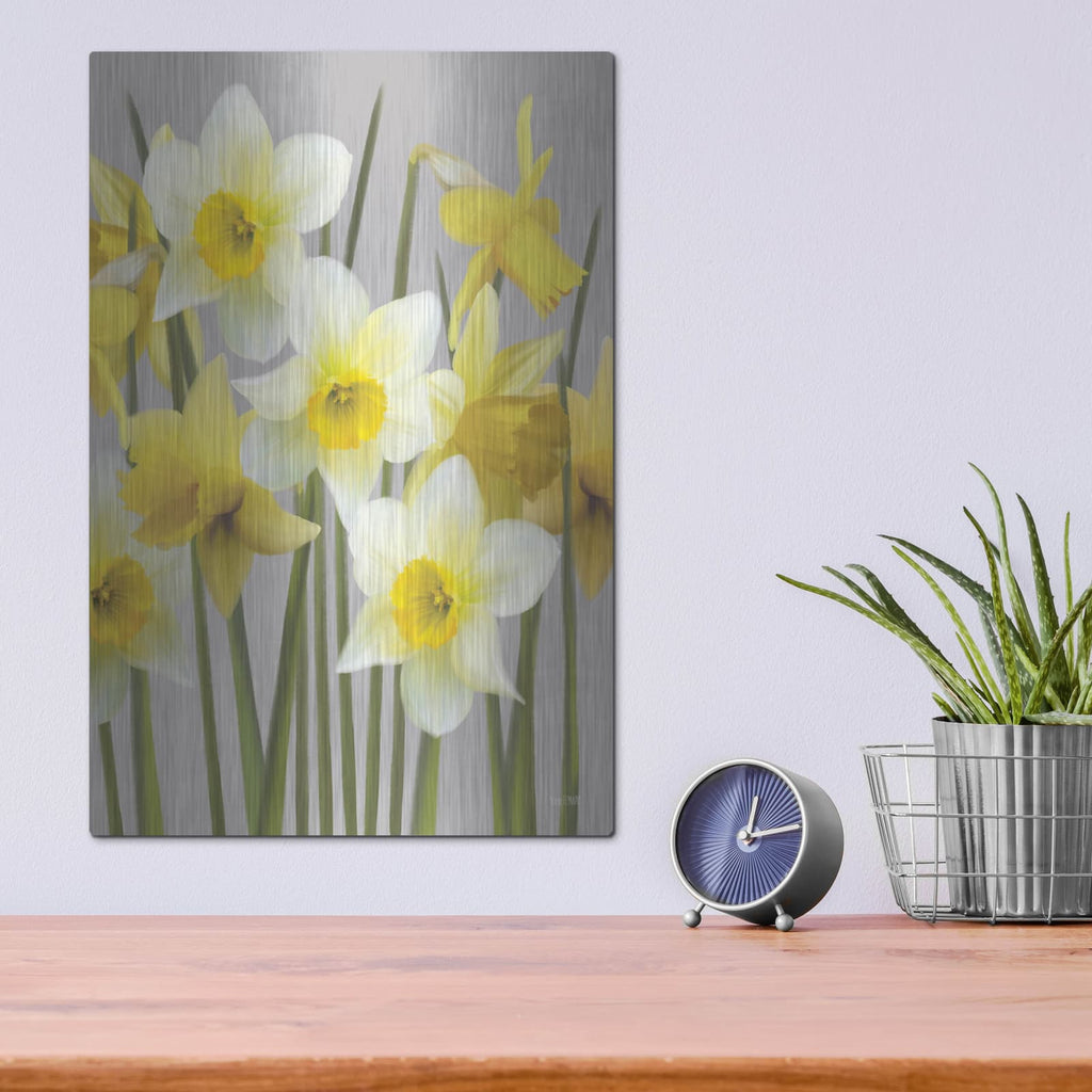 'Spring Daffodils' by House Fenway – Metal Wall Art, 12x16 room view