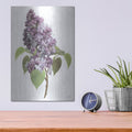 'Lilac Stem' by House Fenway – Metal Wall Art, 12x16 room view