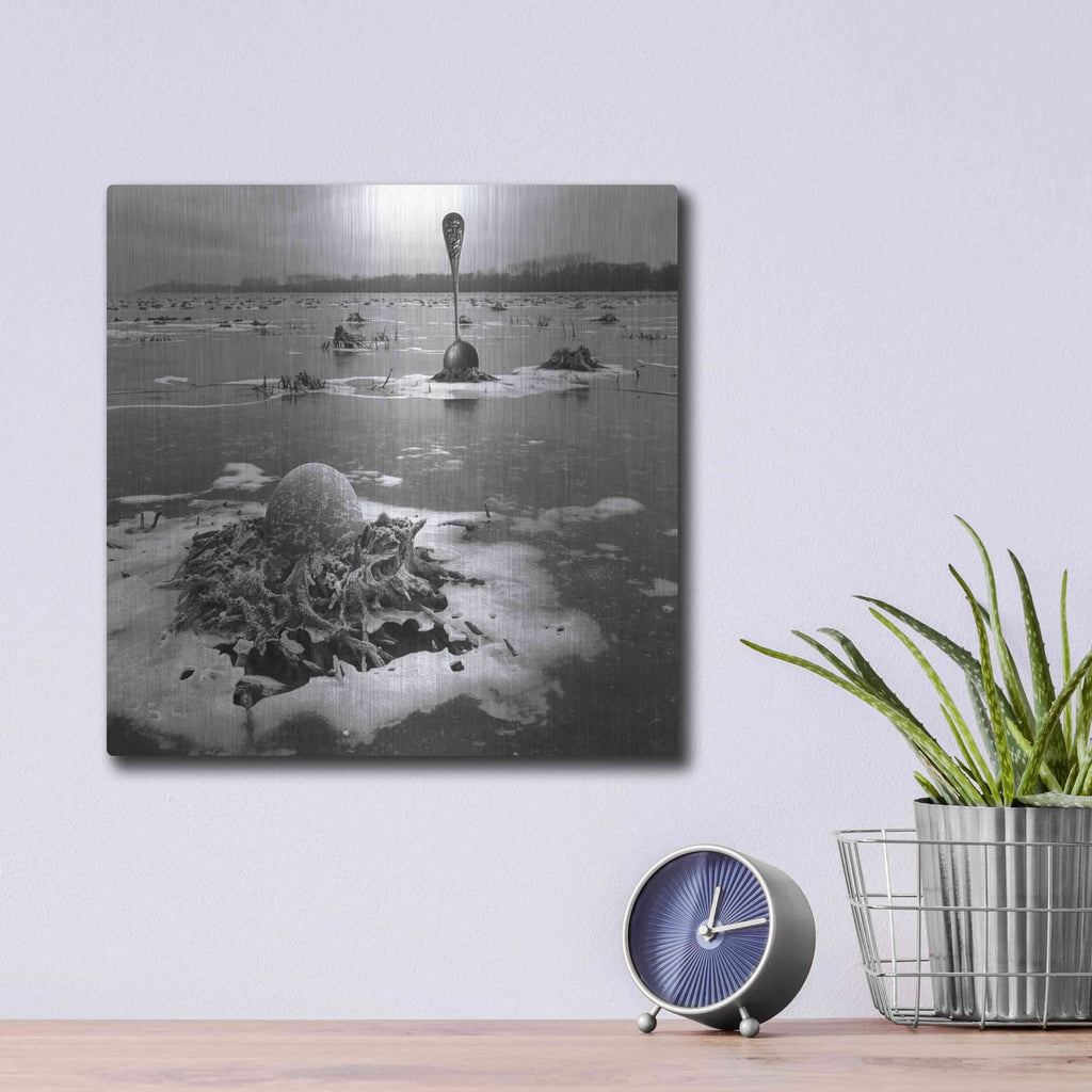 'Frozen Breakfast' by Dariusz Klimczak – Metal Wall Art, 12x12 room view