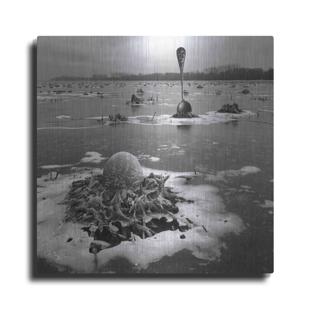 'Frozen Breakfast' by Dariusz Klimczak – Metal Wall Art